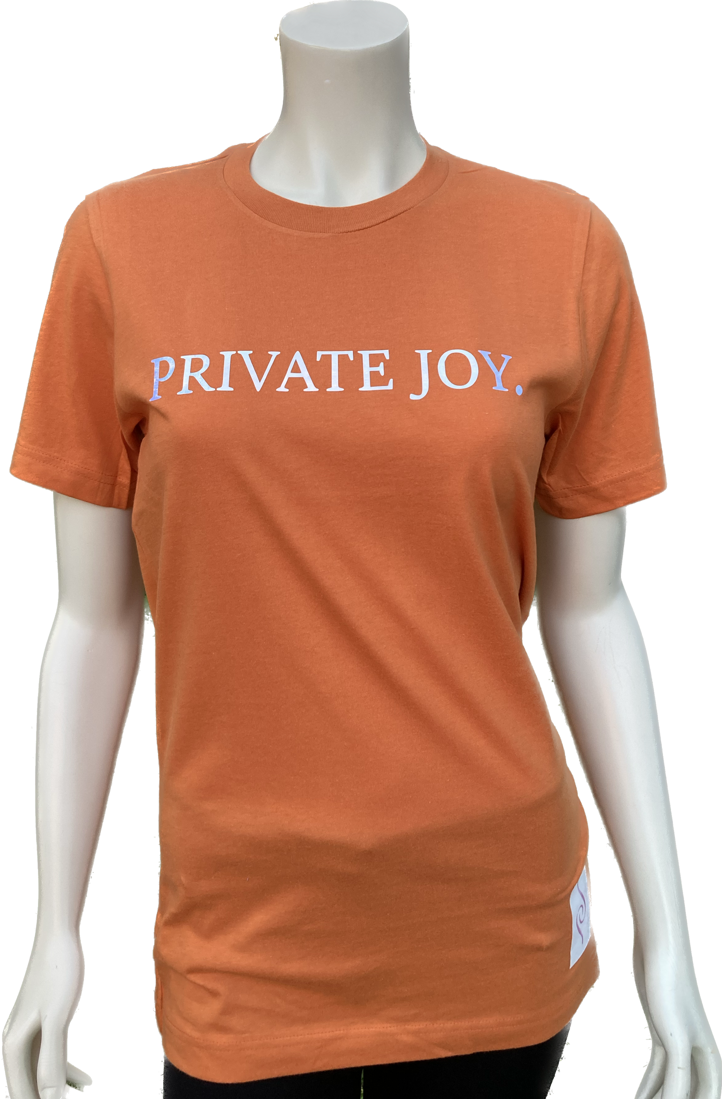 Burnt Orange Tee / Iridescent Print